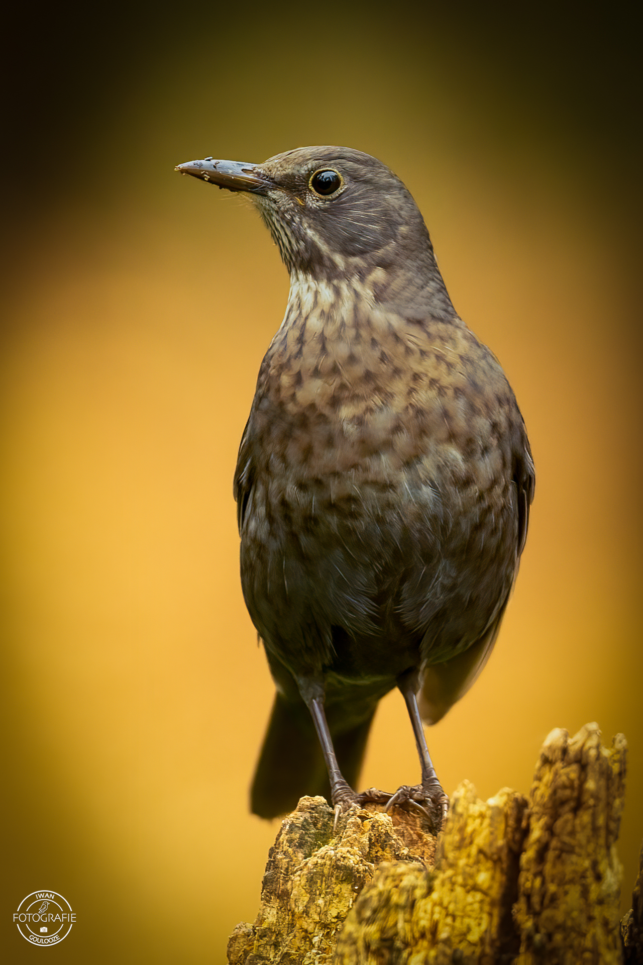 23 oktober 2022 163138 1R2A1895 bewerkt